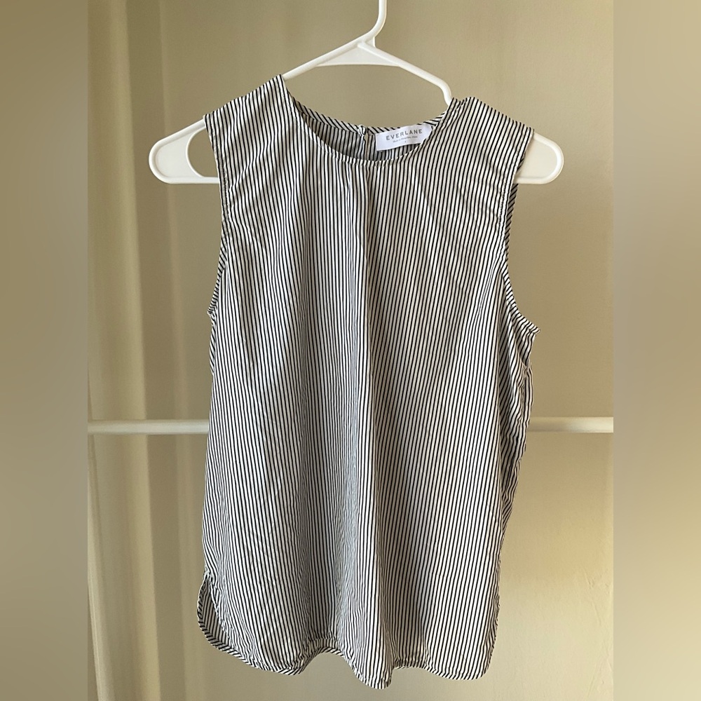 Everlane 100% Silk Monochrome Striped Top